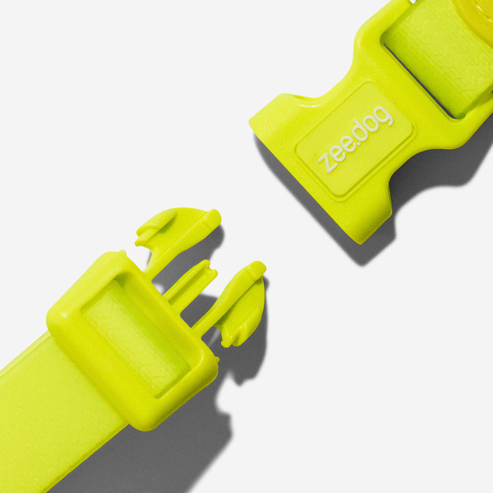 Collar para Perros Neopro Lime