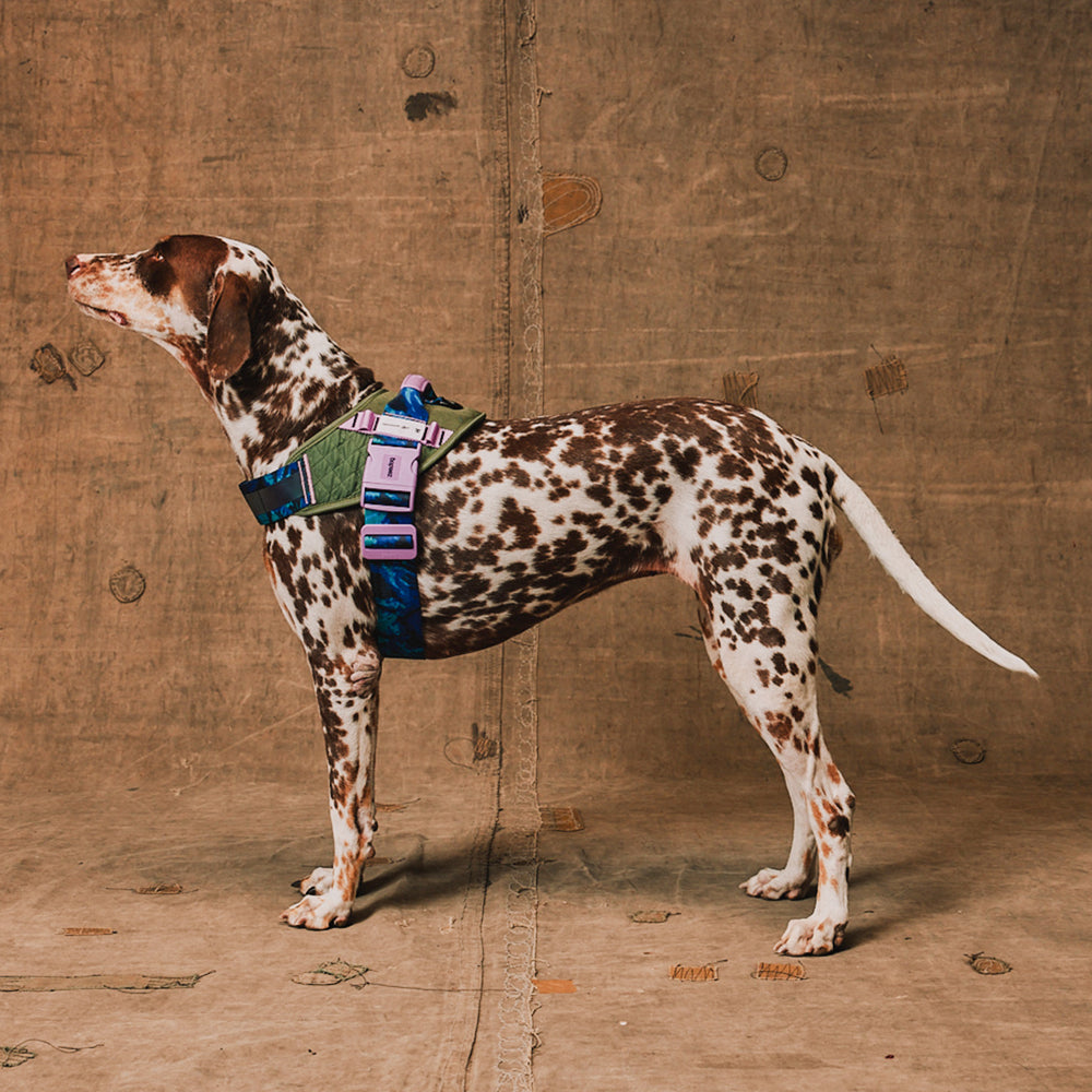 Pechera FlyHarness para Perros Reebok Trekk