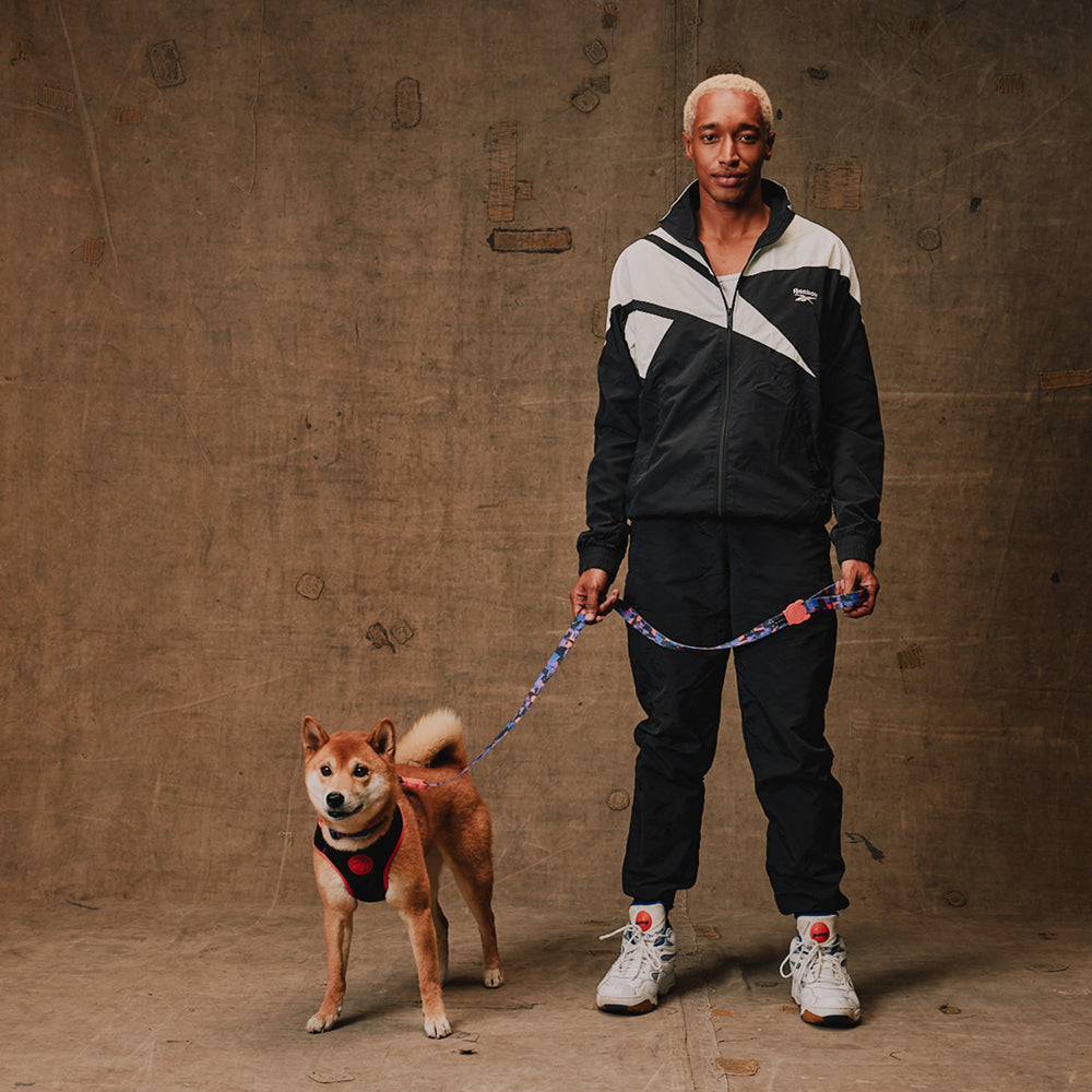 Pechera Air Mesh Ajustable para Perros Reebok Court