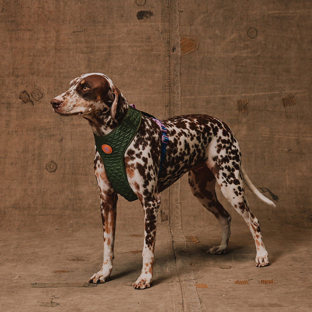 Pechera Air Mesh Ajustable para Perros Reebok Trekk