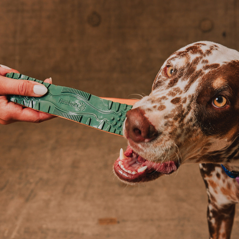 Juguete para Perros Reebok Trekk Twig