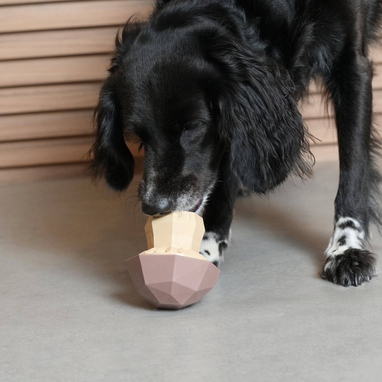 Juguete para Perros Super Veggiez Mushroom