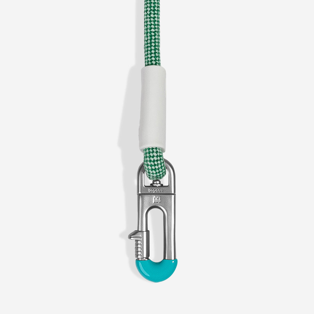 Correa Hands-Free para Perros Velvet Vibes Vert
