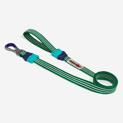 Correa para Perros Velvet Vibes Vert