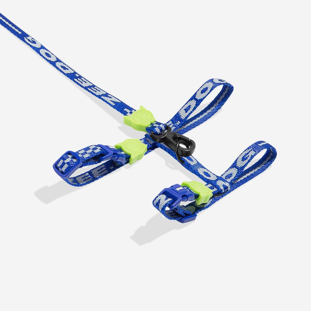 Arnés y Correa para Gatos Astro