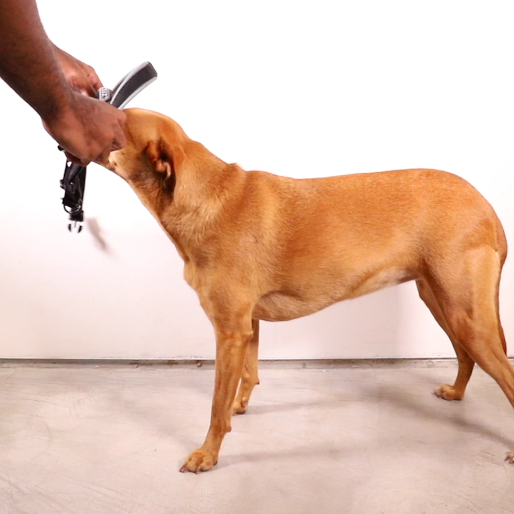 Arnés SofterWalk para Perros Jaladores Naturals Canyon