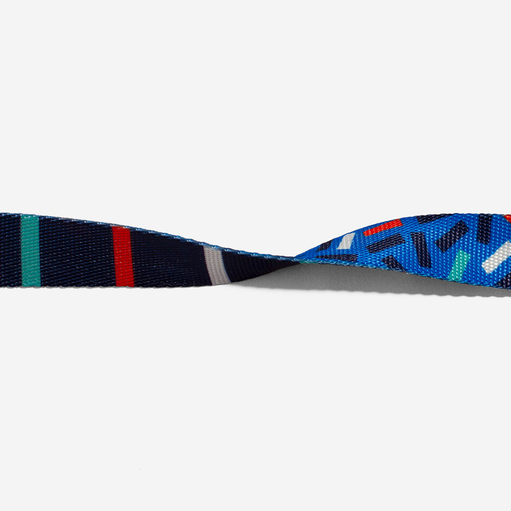 Collar para Perros Atlanta