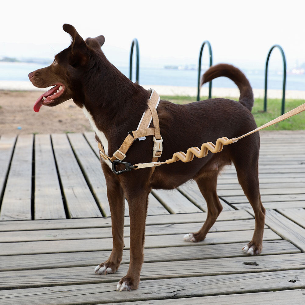 Arnés SofterWalk para Perros Jaladores Naturals Dune