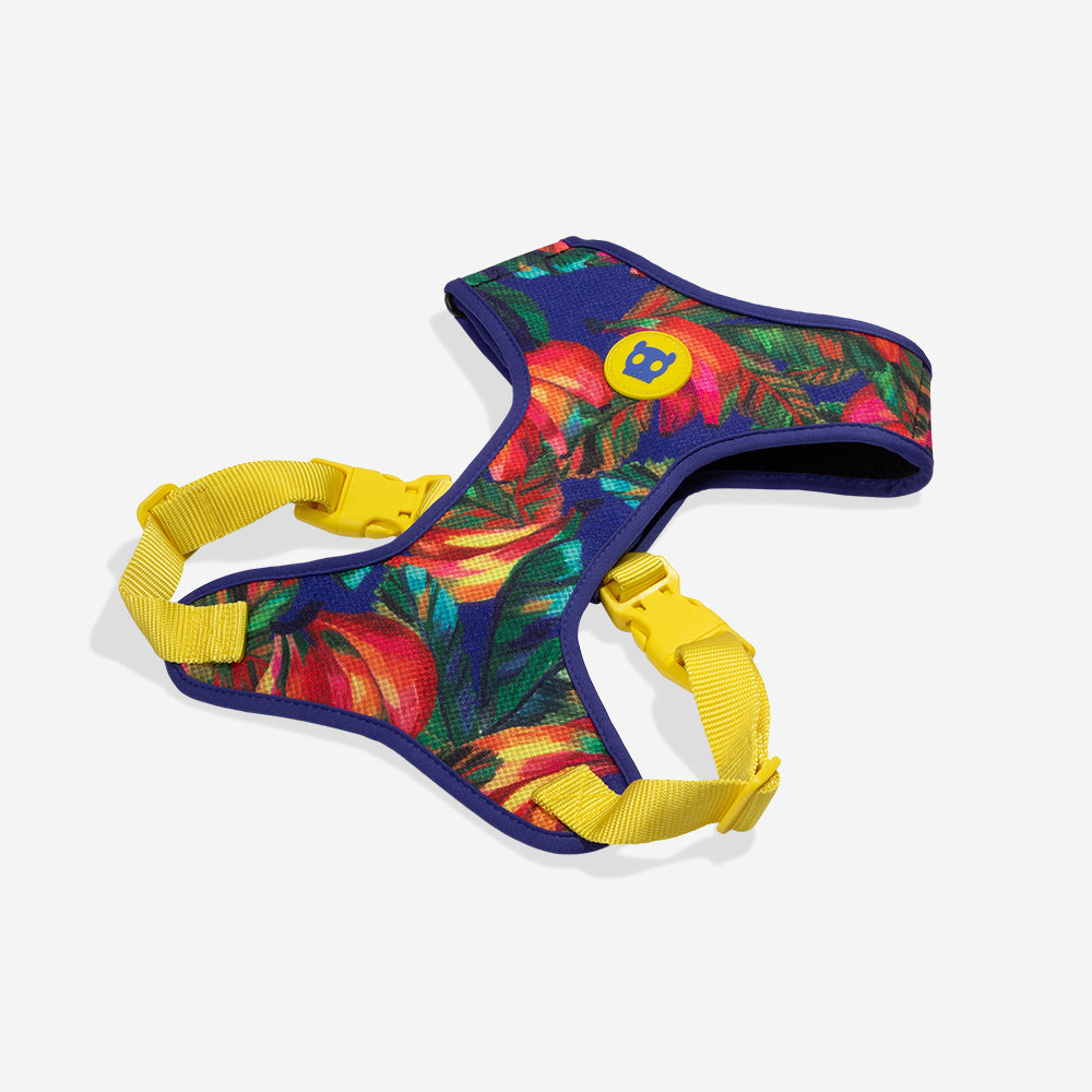 Pechera Air Mesh Ajustable para Perros FARM Rio Samba