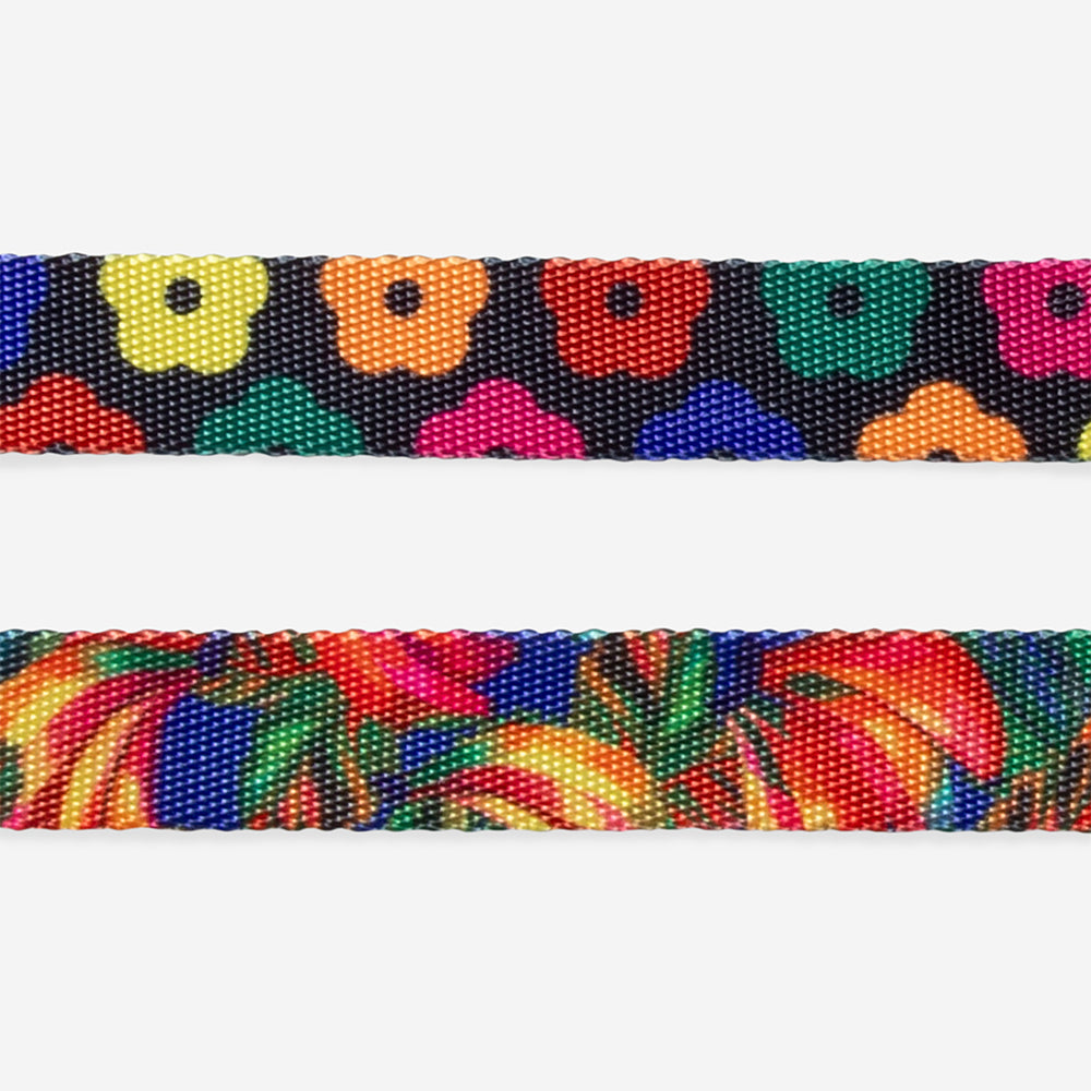 Collar para Gatos FARM Rio Samba