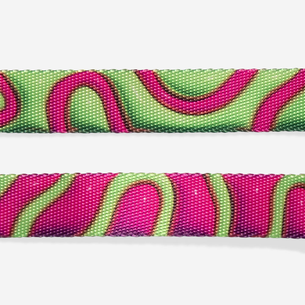 Correa para Perros H3D Jelly