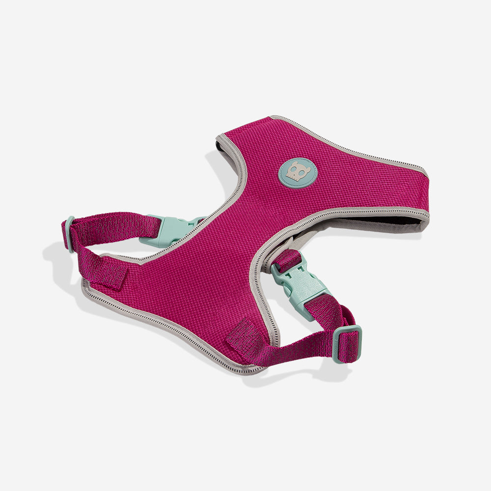 Pechera Air Mesh Ajustable para Perros NOX Sidus