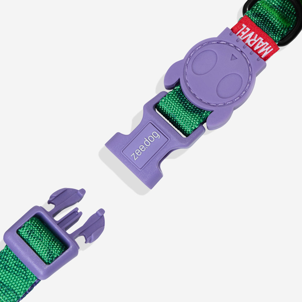 Collar para Perros Marvel Hulk