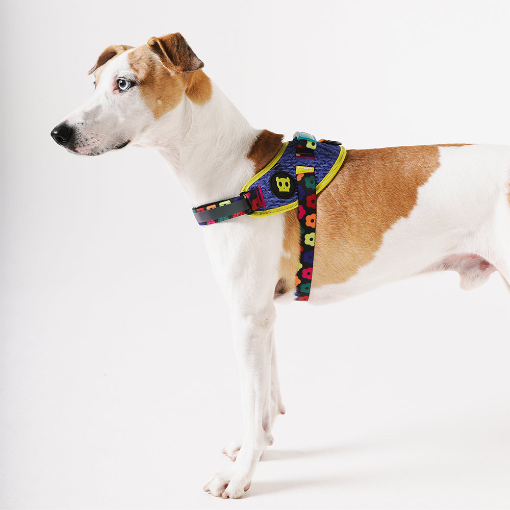 Pechera FlyHarness para Perros FARM Rio Samba