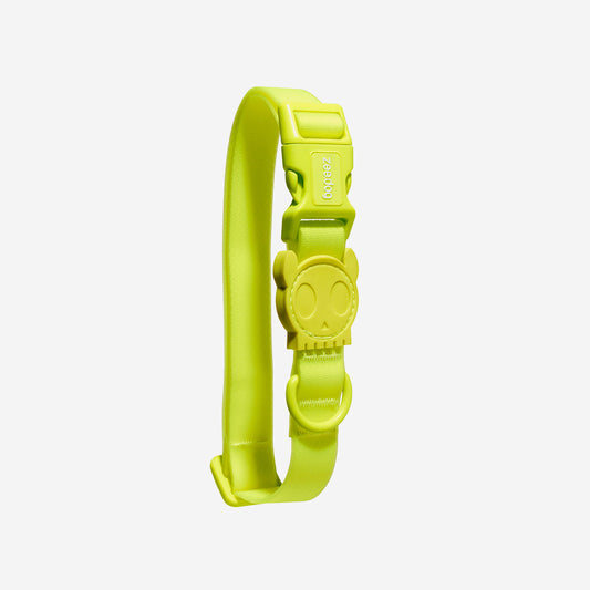 Collar para Perros Neopro Lime