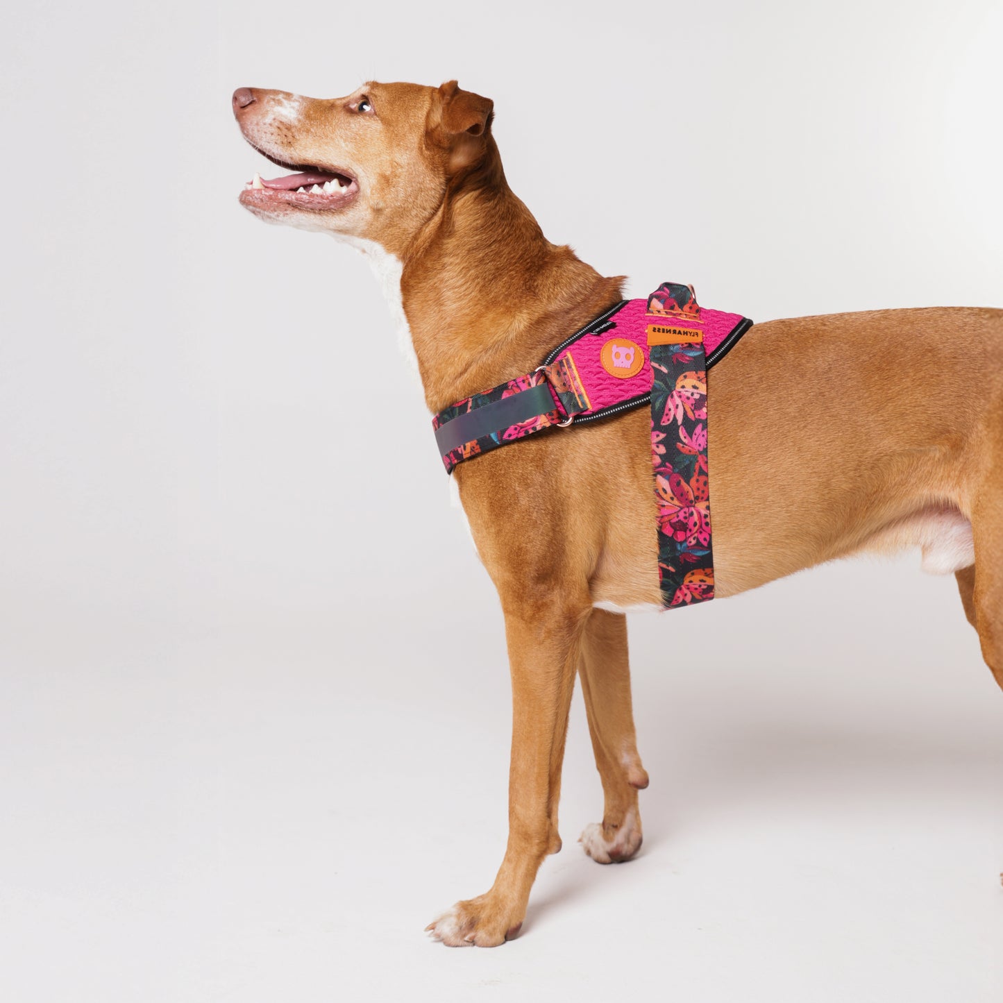 Pechera FlyHarness para Perros FARM Rio Selva