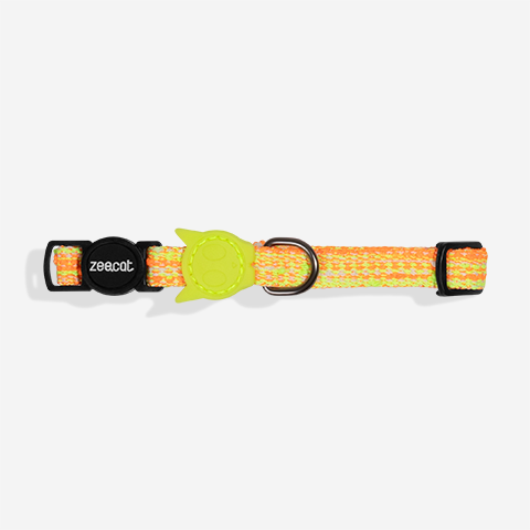 Collar para Gatos Fuse Bikr