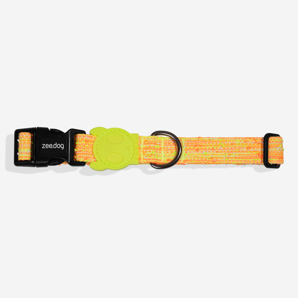 Collar para Perros Fuse Bikr