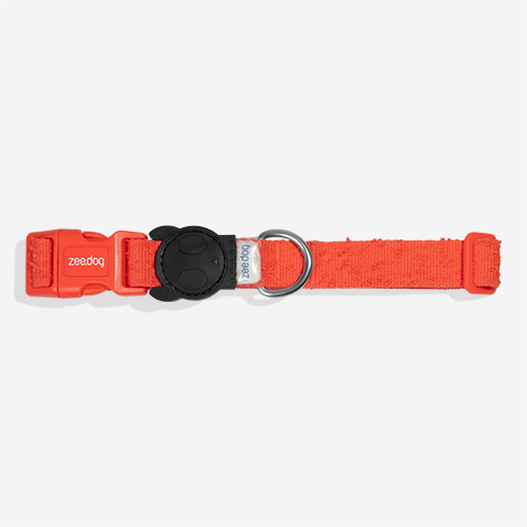 Collar para Perros Fuse Grid
