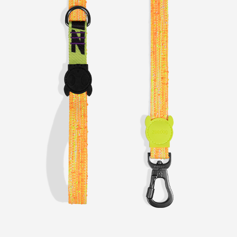 Correa para Perros Fuse Bikr