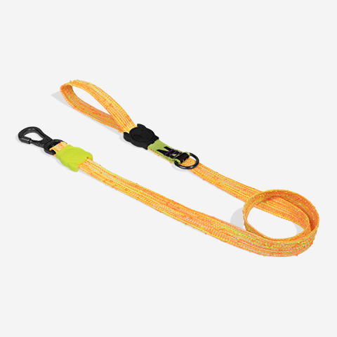 Correa para Perros Fuse Bikr