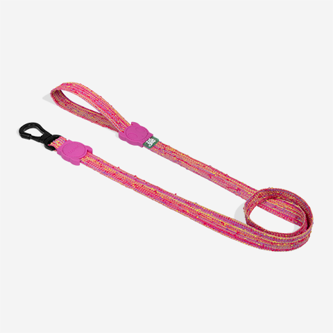 Correa para Perros Fuse Chop
