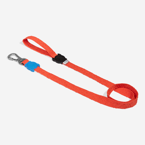 Correa para Perros Fuse Grid