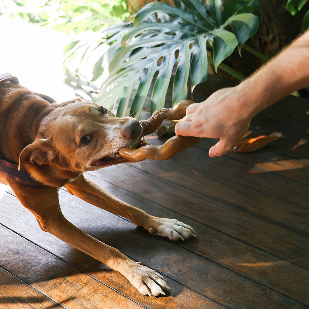 Juguete para Perros Naturals