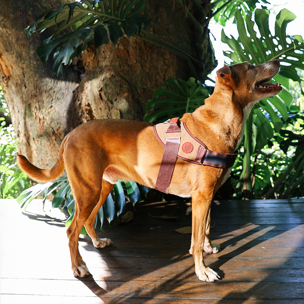 Pechera FlyHarness para Perros Naturals Cocoa