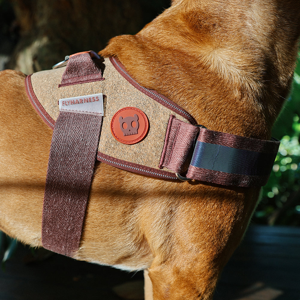 Pechera FlyHarness para Perros Naturals Cocoa