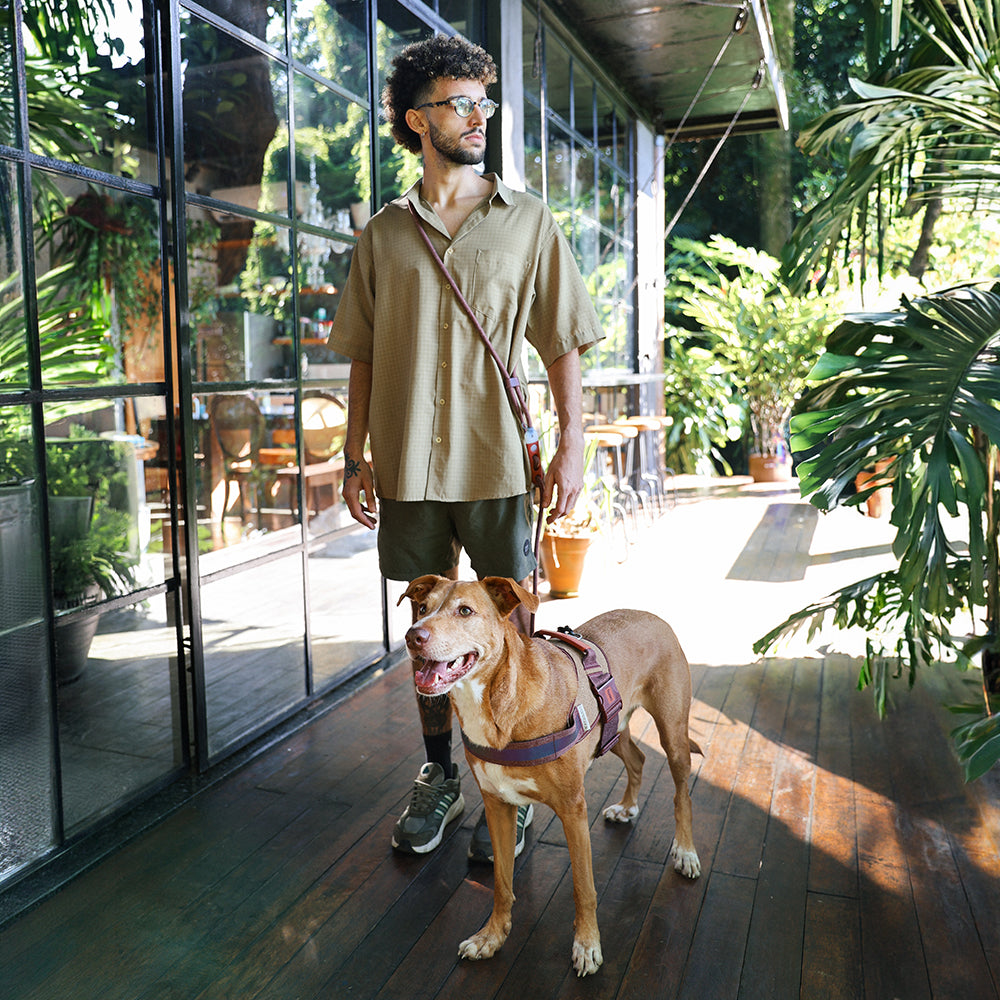 Correa Hands-Free para Perros Naturals Cocoa