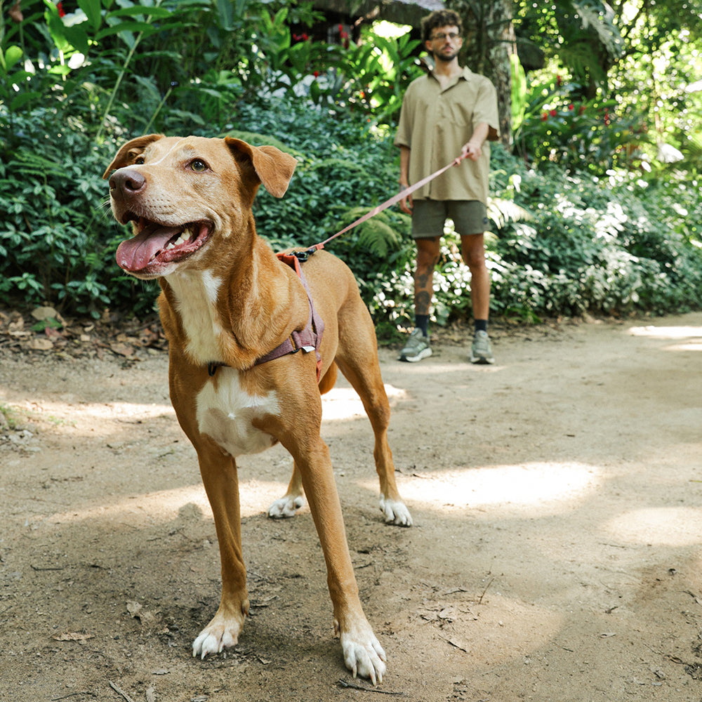 Arnés SofterWalk para Perros Jaladores Naturals Cocoa