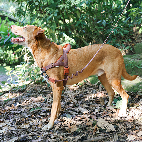 Arnés SofterWalk para Perros Jaladores Naturals Cocoa