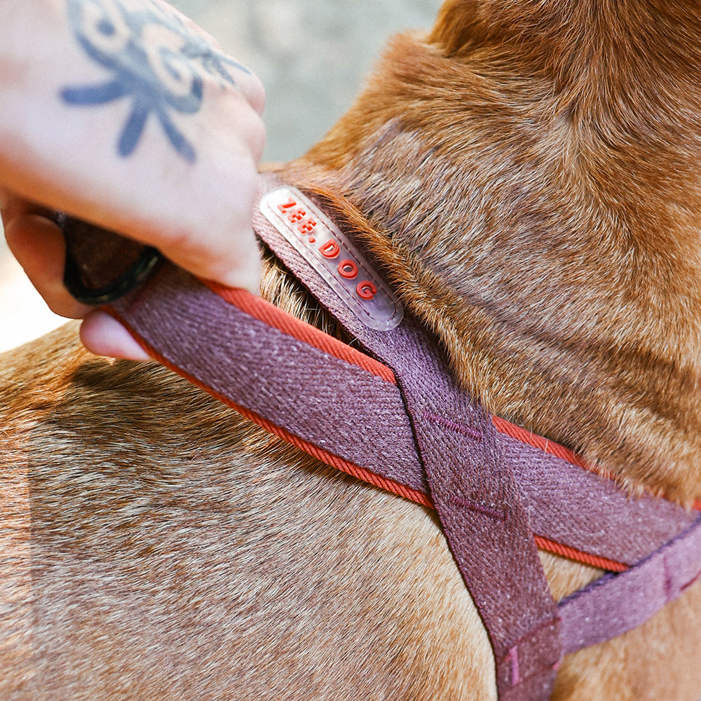 Arnés SofterWalk para Perros Jaladores Naturals Cocoa