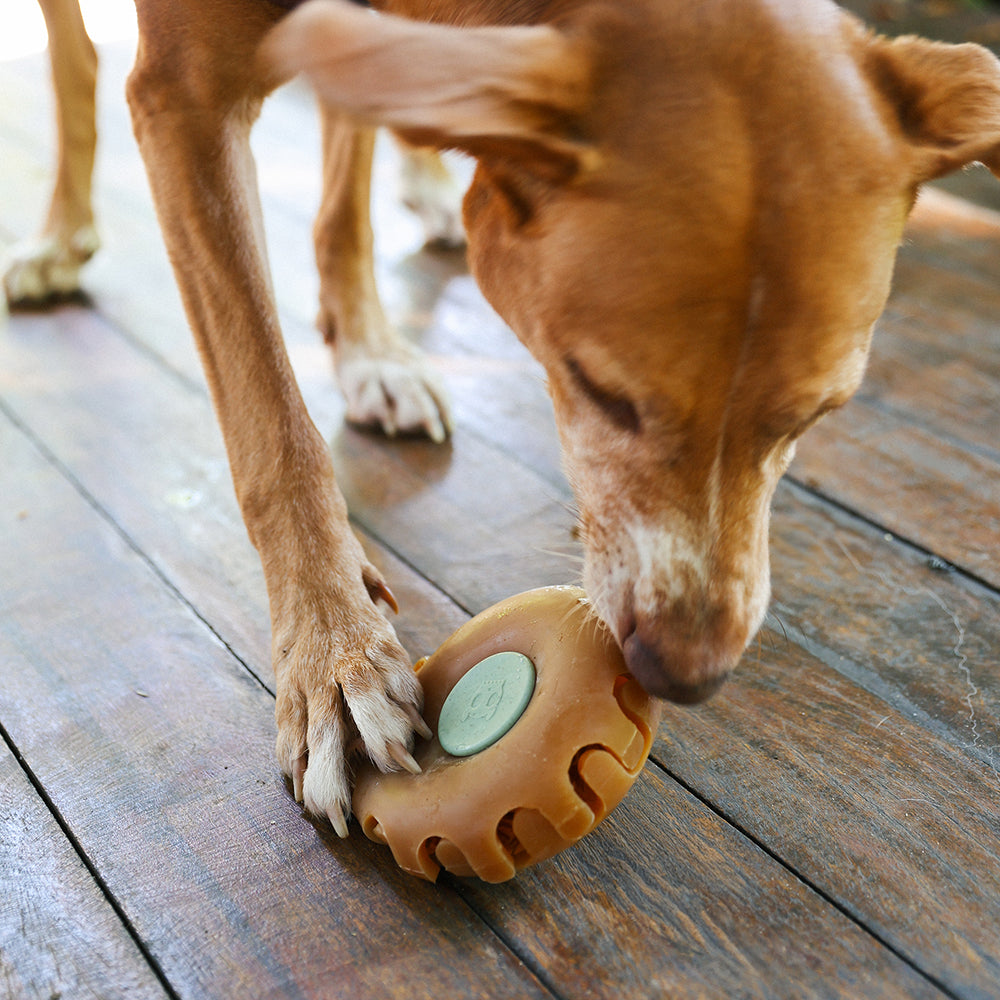 Juguete para Perros Dispensador Naturals