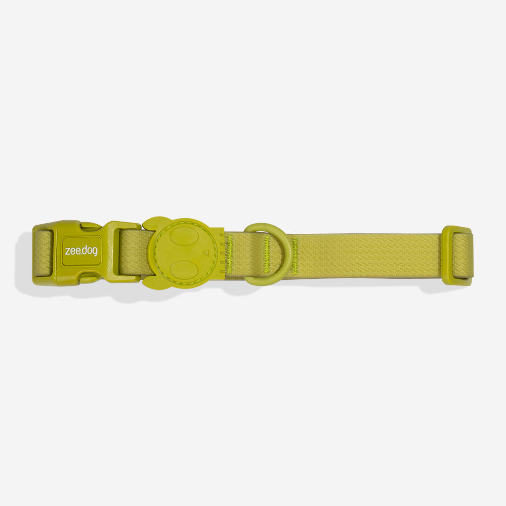 Collar para Perros Neopro Matcha