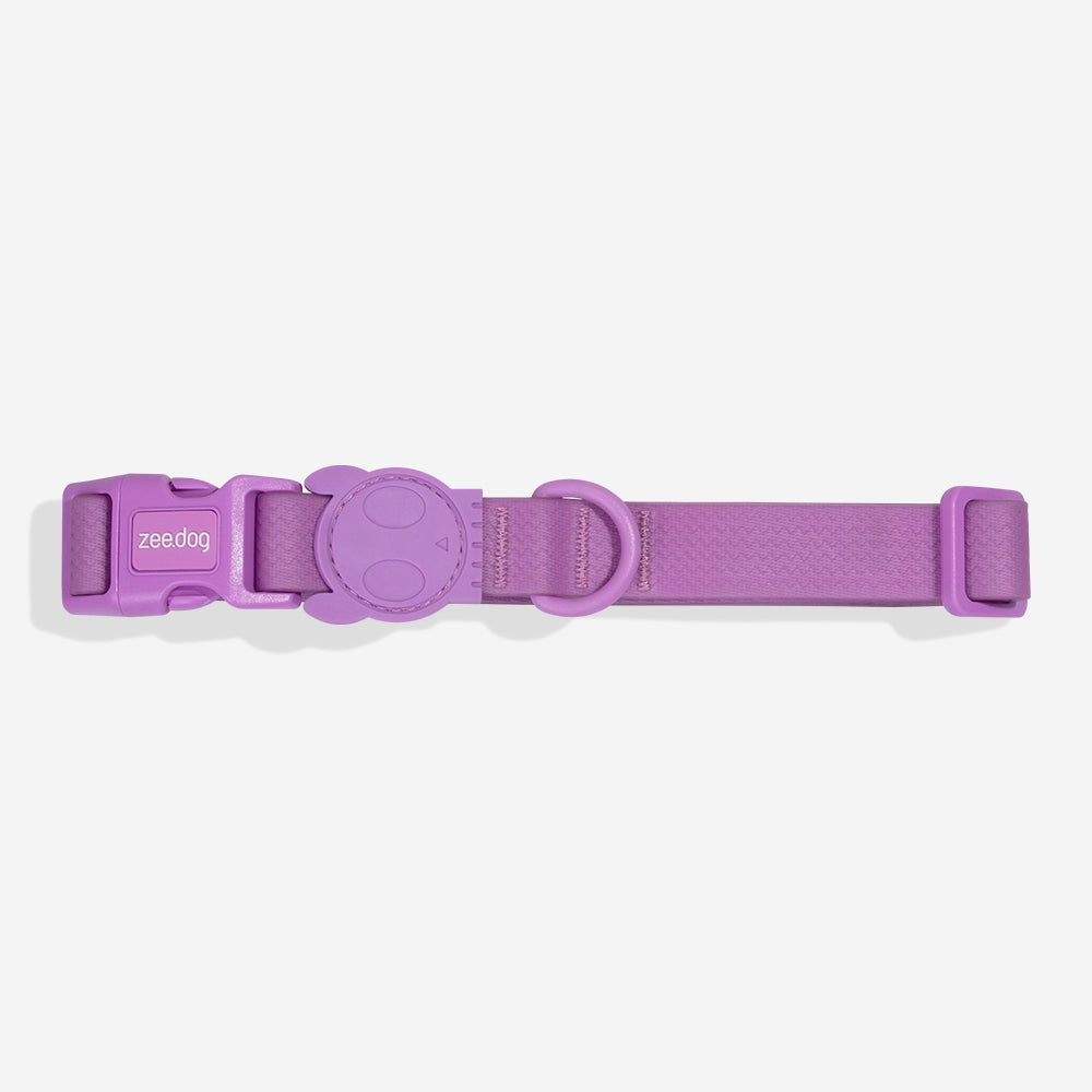 Collar para Perros Neopro Violet