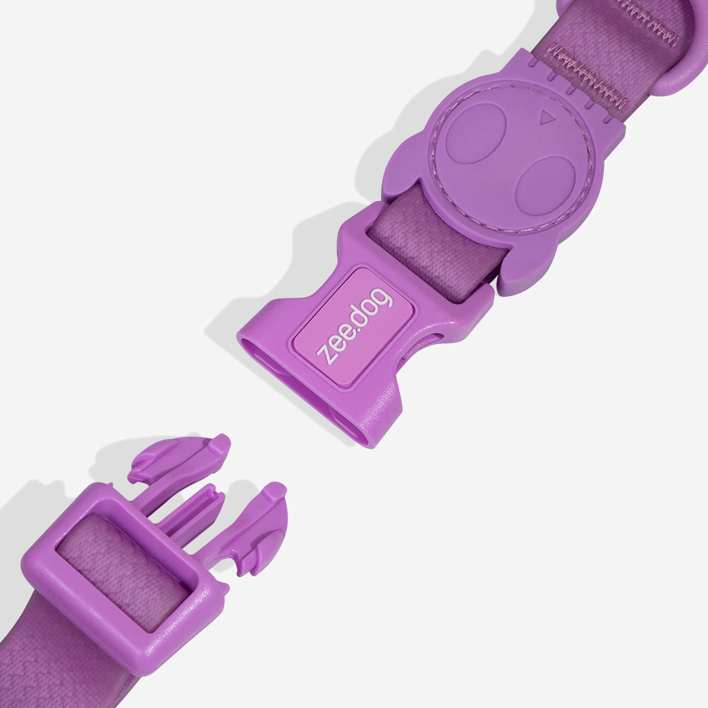 Collar para Perros Neopro Violet