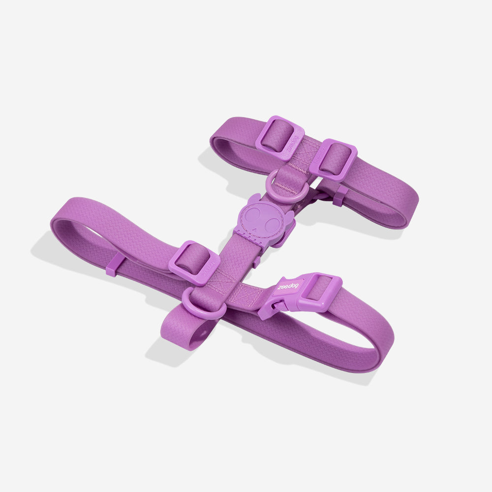 H-Harness para Perros Neopro Violet