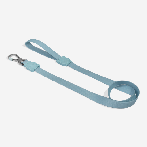 Correa para Perros Neopro Cloudy