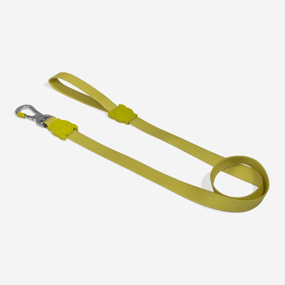 Correa para Perros Neopro Matcha
