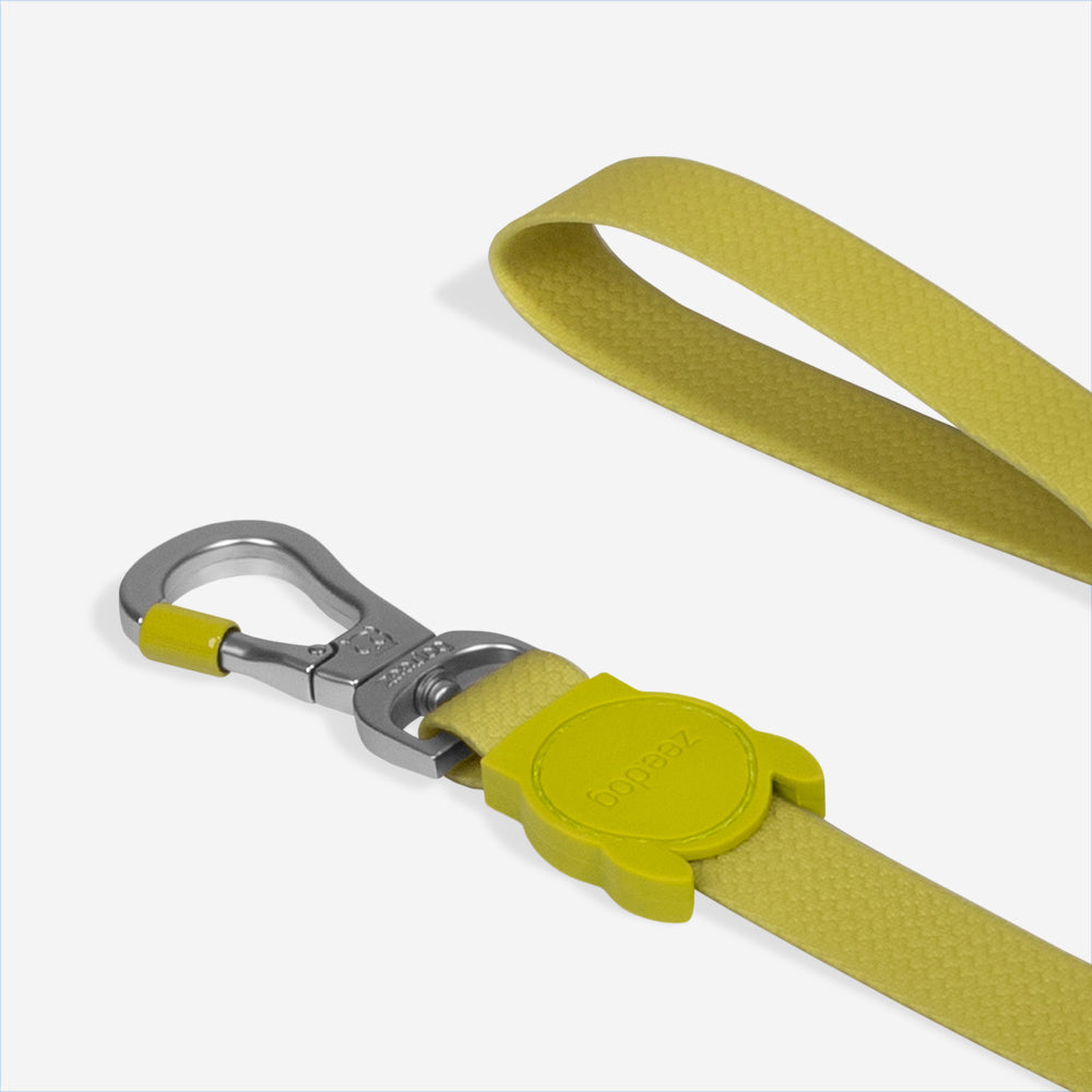 Correa para Perros Neopro Matcha
