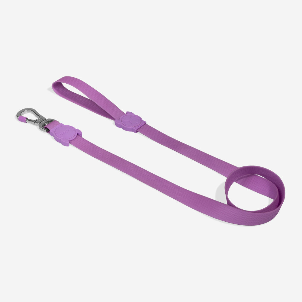 Correa para Perros Neopro Violet