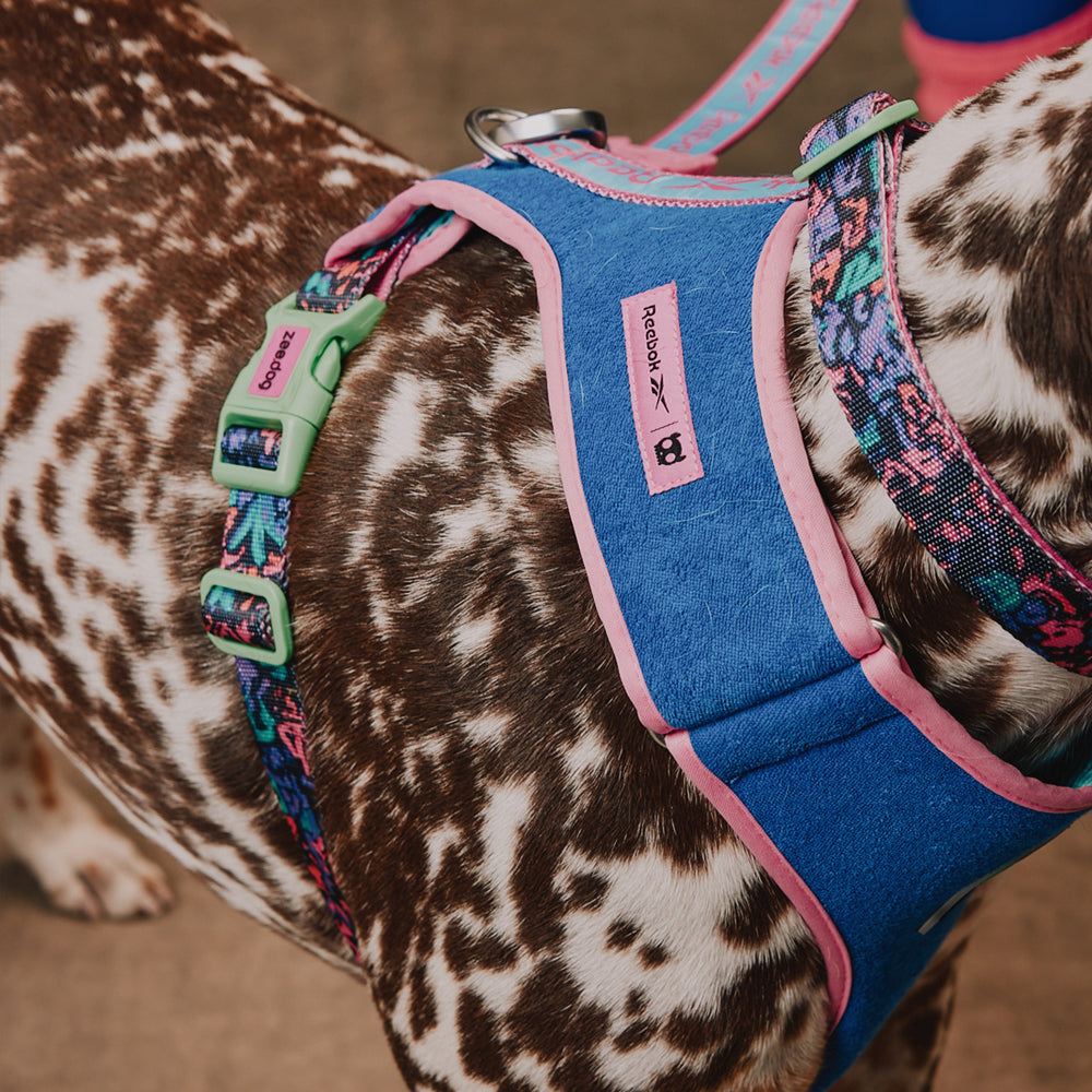 Pechera Air Mesh Ajustable para Perros Reebok Aerobic