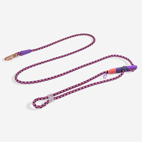 Correa Hands-Free para Perros Reebok Court