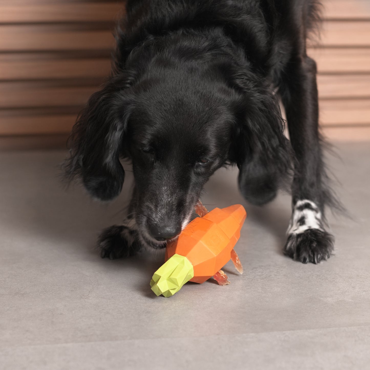 Juguete para Perros Super Veggiez Carrot
