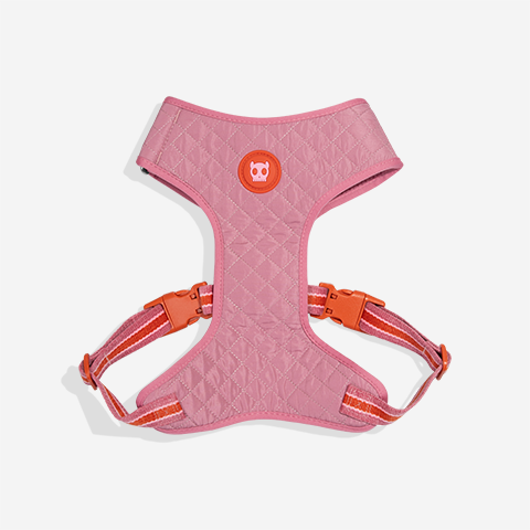 Pechera Air Mesh Ajustable para Perros Velvet Vibes Courtney
