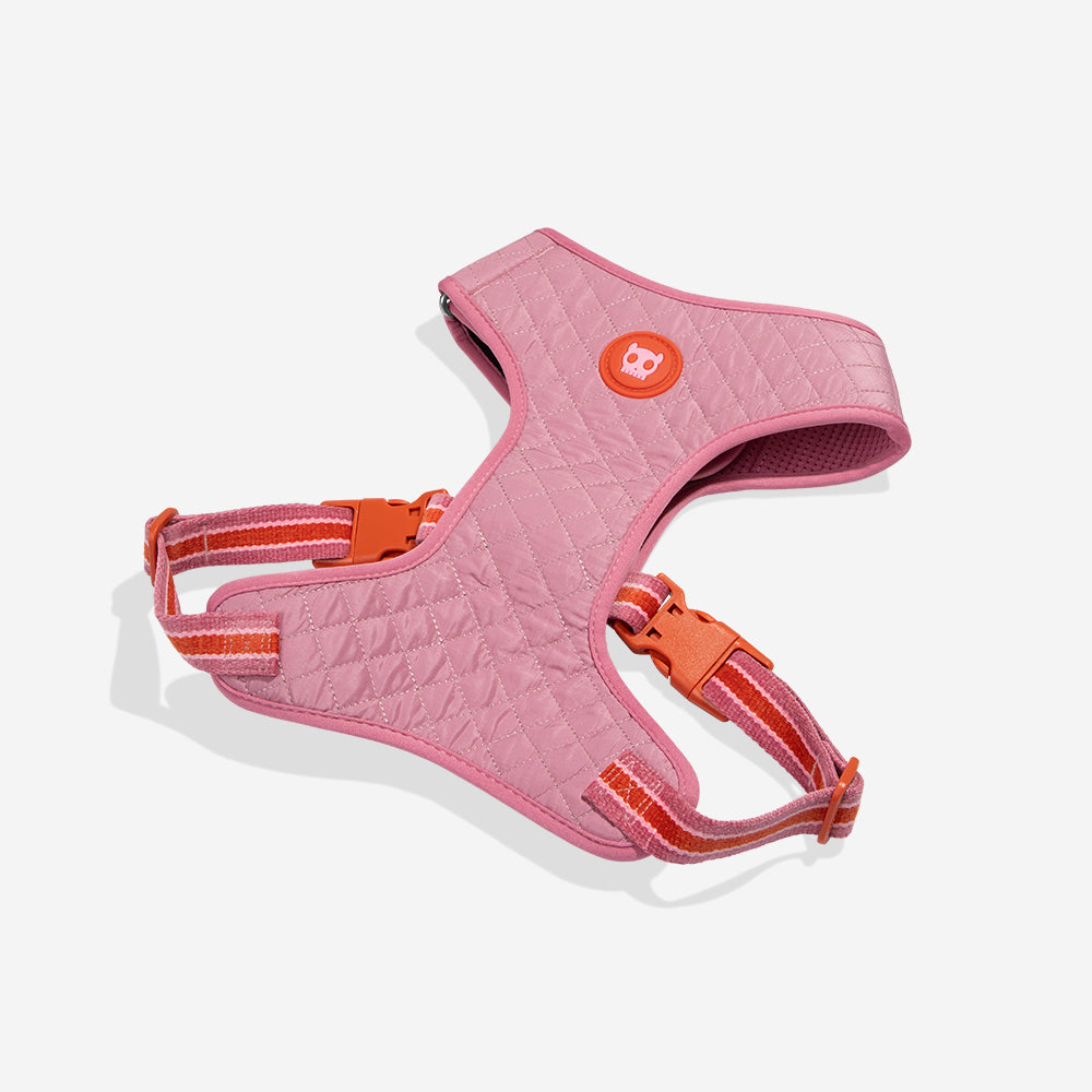 Pechera Air Mesh Ajustable para Perros Velvet Vibes Courtney