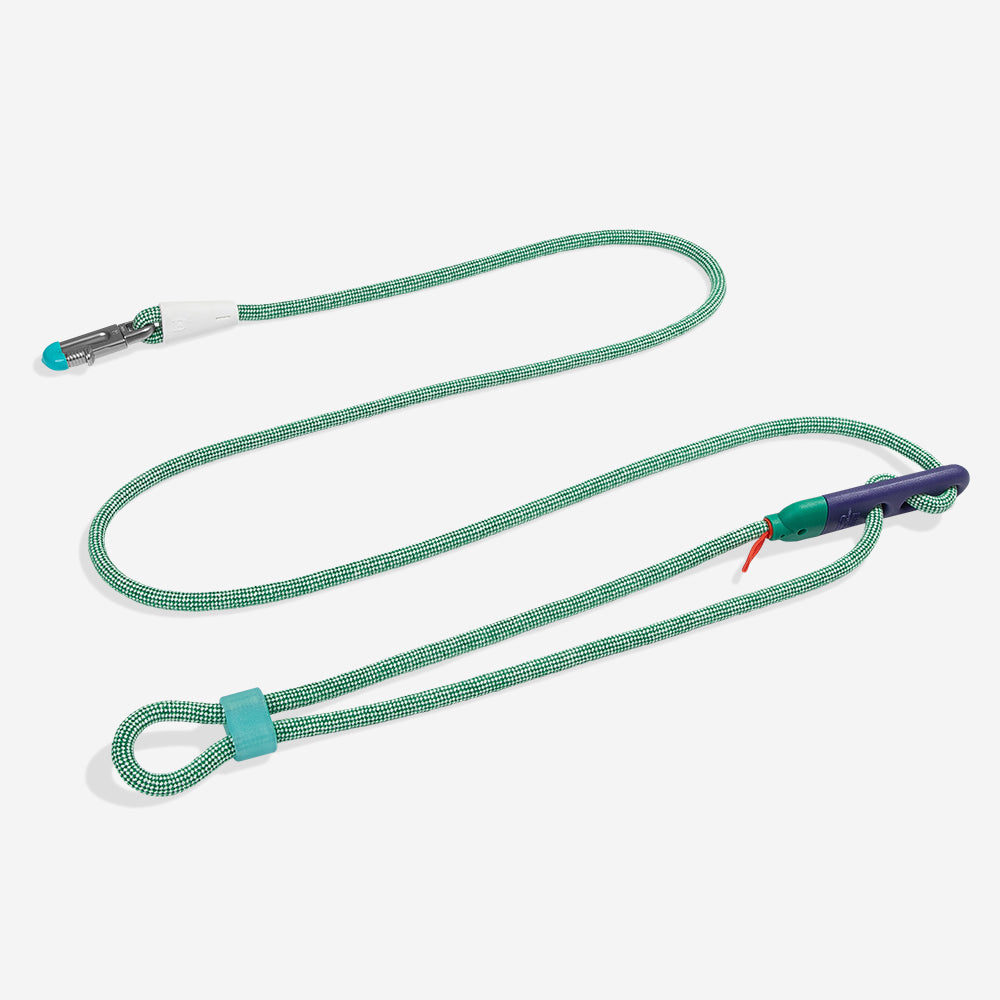Correa Hands-Free para Perros Velvet Vibes Vert