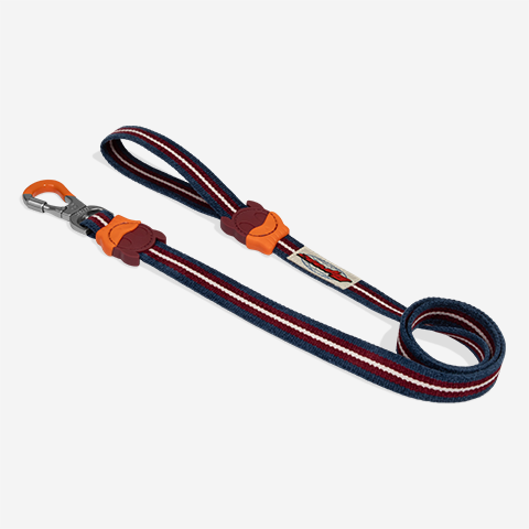Correa para Perros Velvet Vibes Dropout